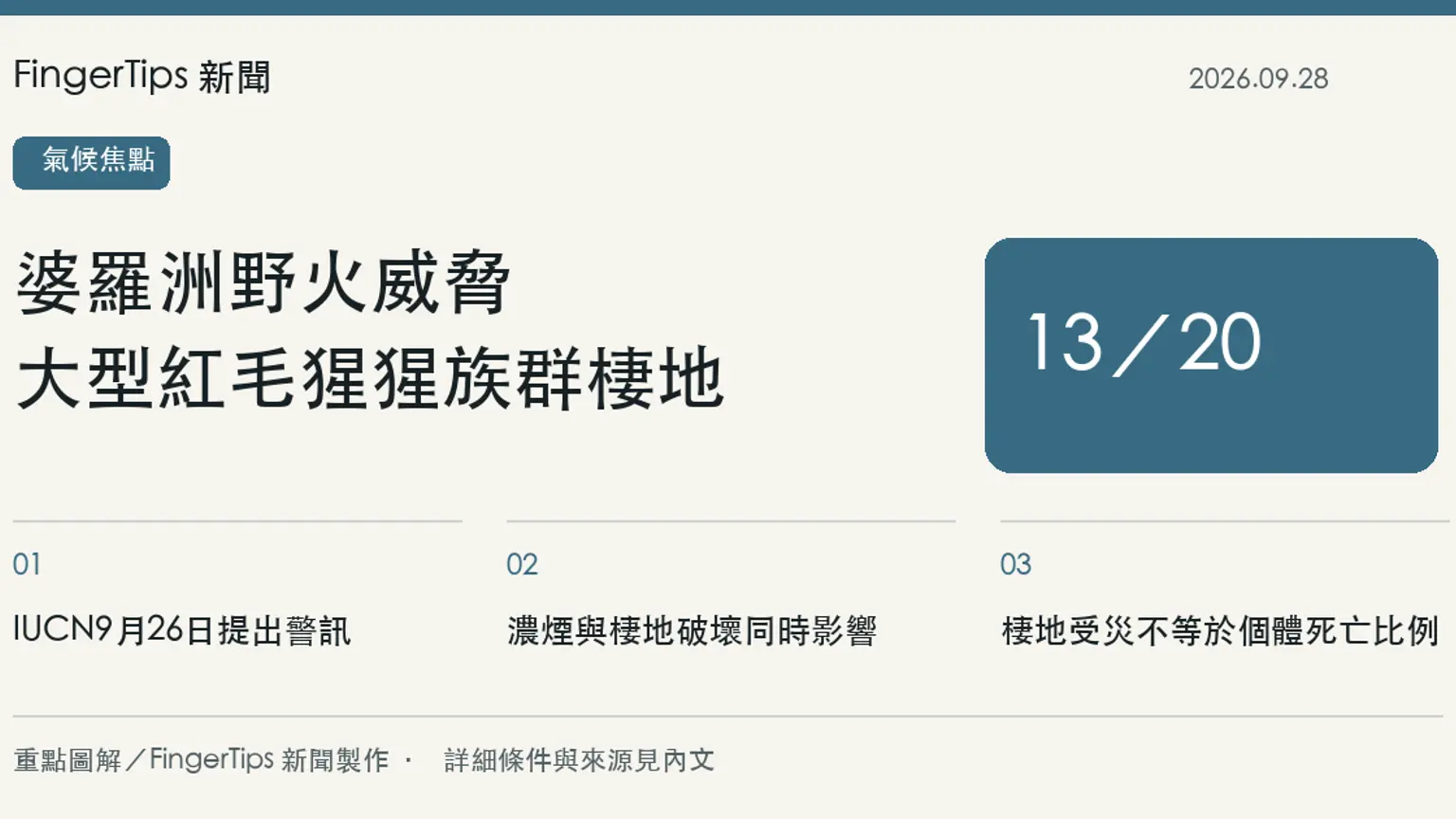 IUCN示警印尼野火威脅紅毛猩猩棲地，最大族群多處受影響